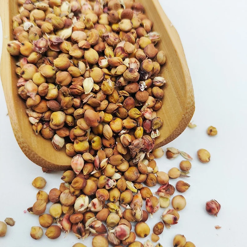 Good price High quality Professional manufacturer supply Bulk Sorghum Grains for Birds Food