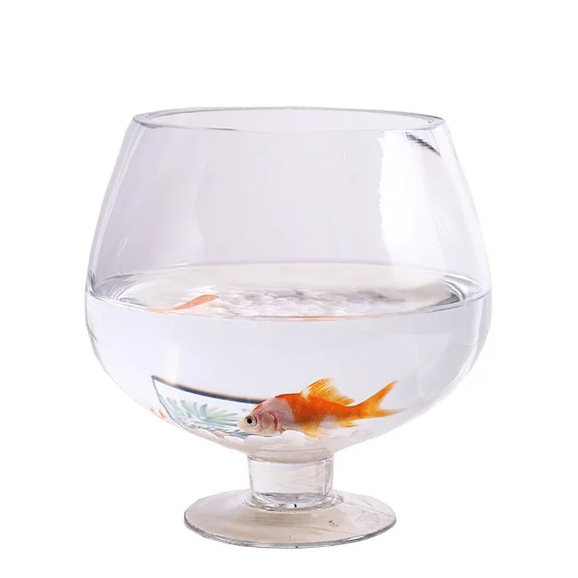 High Quality Desktop Multi-shaped Clear Mini / Large Glass Fish Bowl