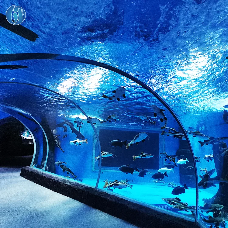 Lesheng Large-scale entertainment facilities construction acrylic lazy river tunnel with high light import material