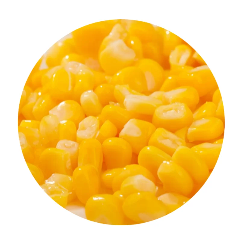 3 years shelf life heathy food good quality corn canned salty organic corn seed