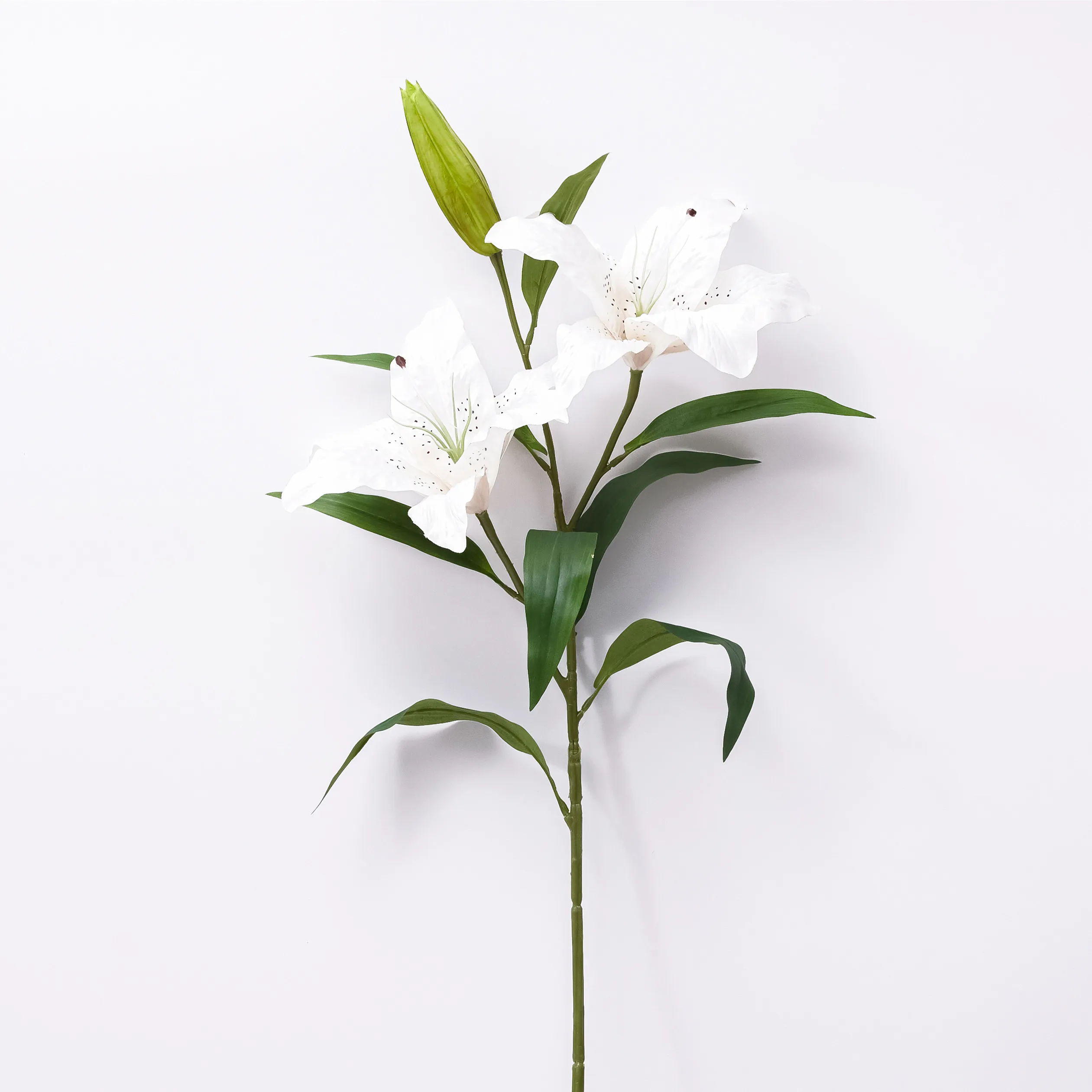 Wholesale High Quality Fresh Lily Flower Water Lilies Flowers From Longsun