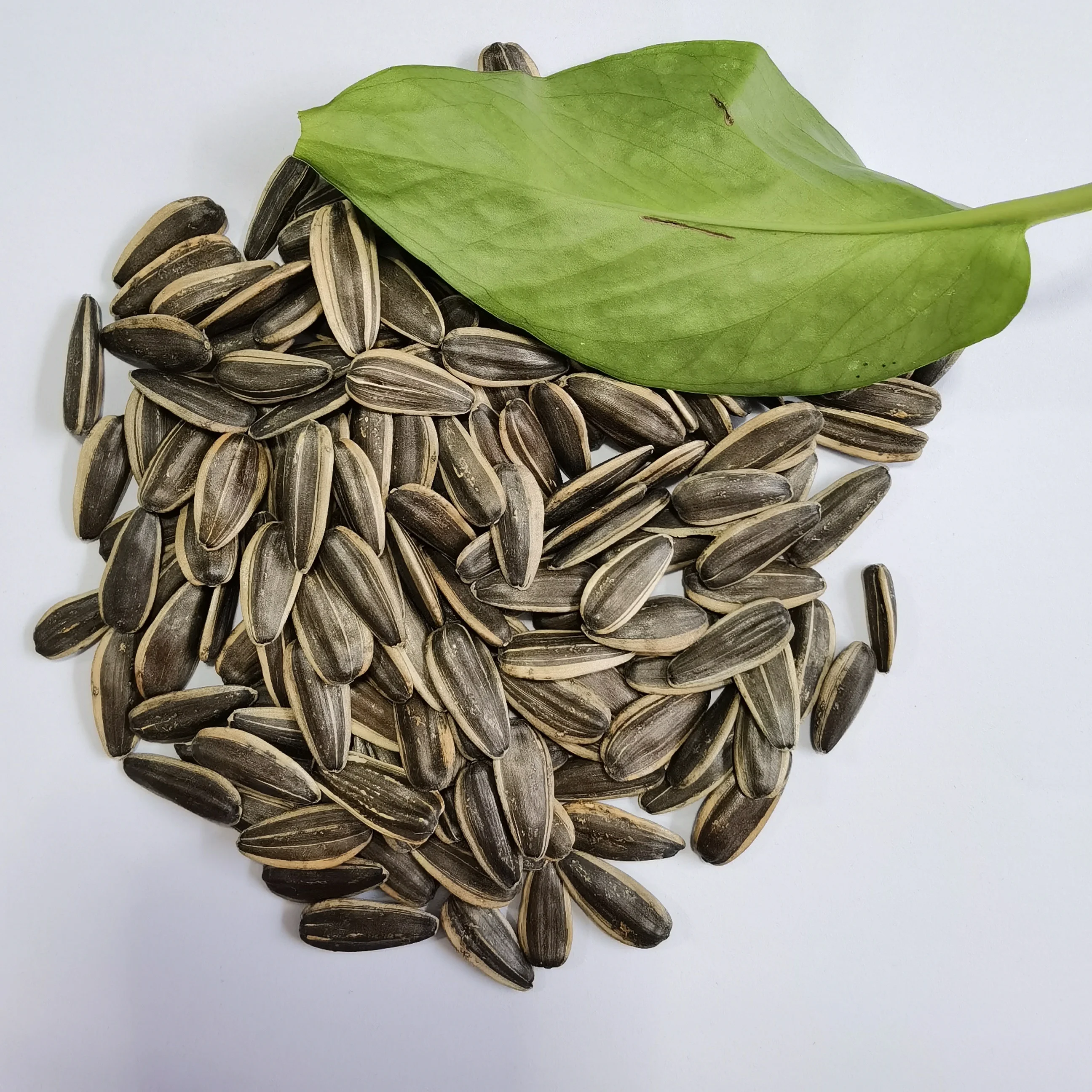 Factory direct high-quality black sunflower seeds raw sunflower seeds 361