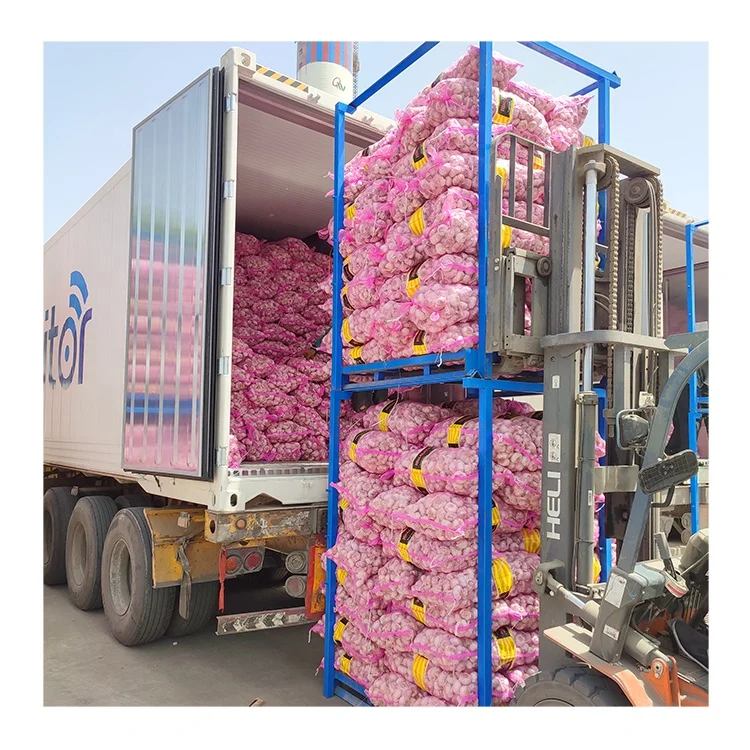 bawang putih Fresh normal white garlic 2023 Chinese newest crop top grade garlic for wholesale to Indonesia within 7 days