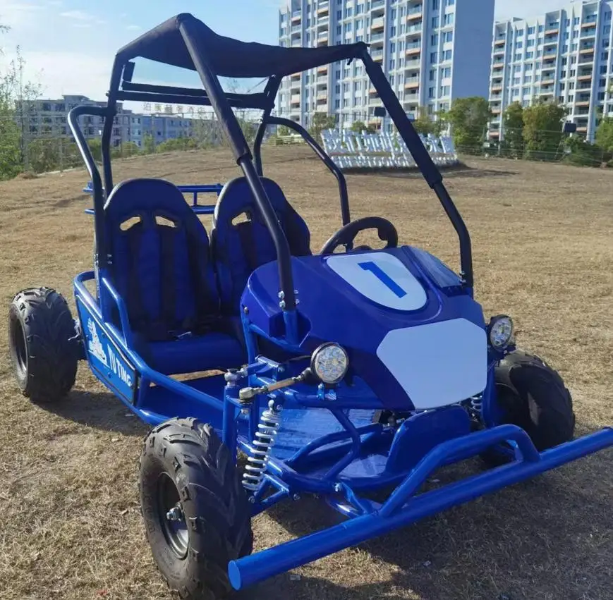 2-Seater Electric Go Kart Buggy Customizable Road Buggy for Parent-Child Hydraulic Disc Brake
