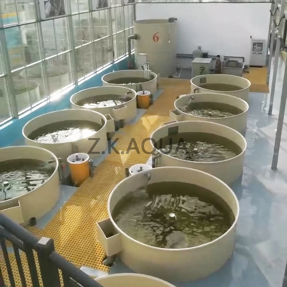 indoor ras system  pisciculture other aquaculture equipment  fish farming aquaculture system for sale