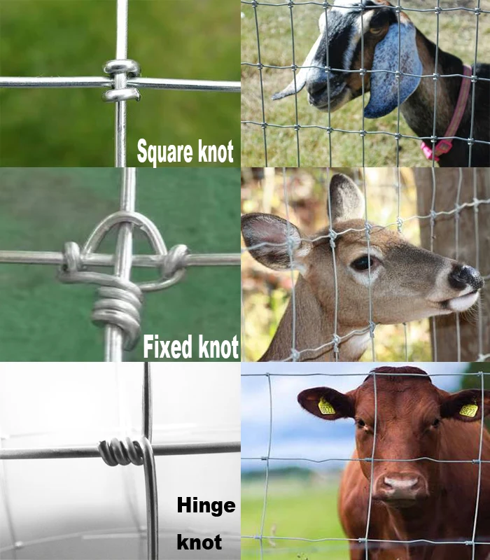 cattle wire mesh fence.jpg