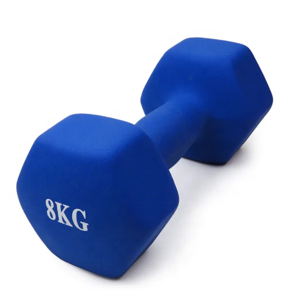 Factory Price Home used Portable Cheap Plastic adjustable dumbbell pair Neoprene vinyl Rubber cast iron Dumbbell for women