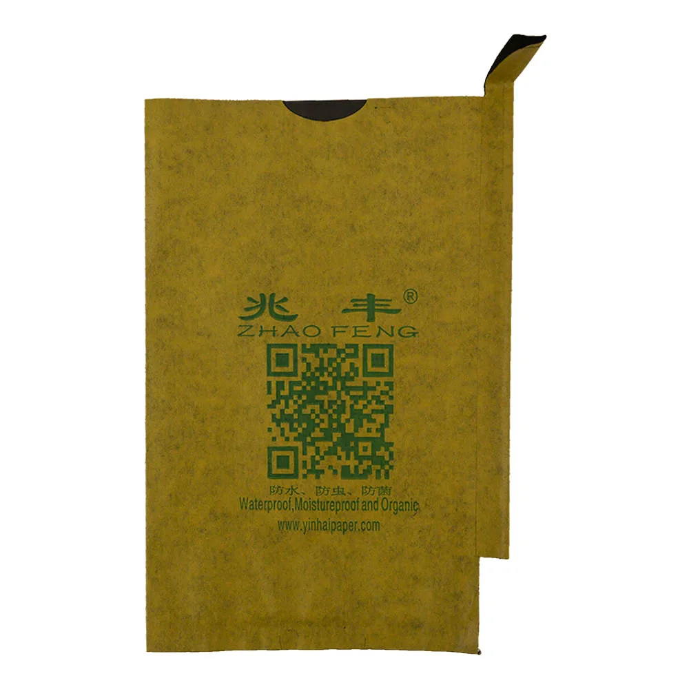 Free Sample Fast Shipping China Manufacturer mango Growing Paper Bag Fruit Growing Paper Bag for mango