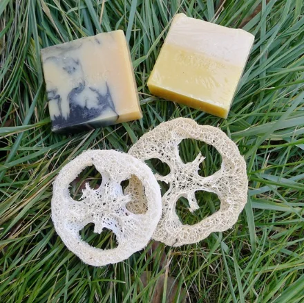 Заводская поставка натуральный водонепроницаемый и дышащий держатель мыла/коробка/лоток для продажи