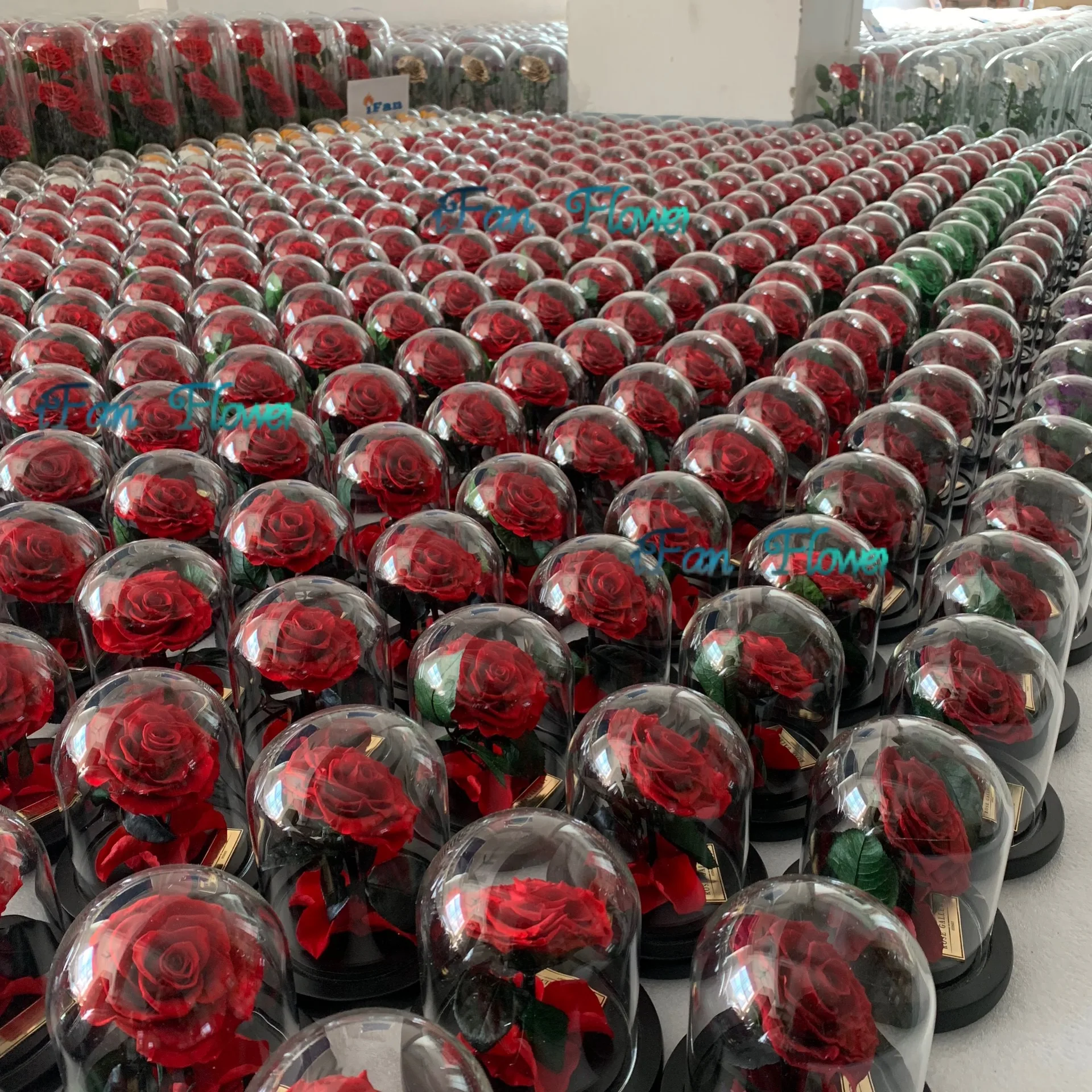 New edition preserved red roses in glass dome with black wooden base perfect gift idea for christmas