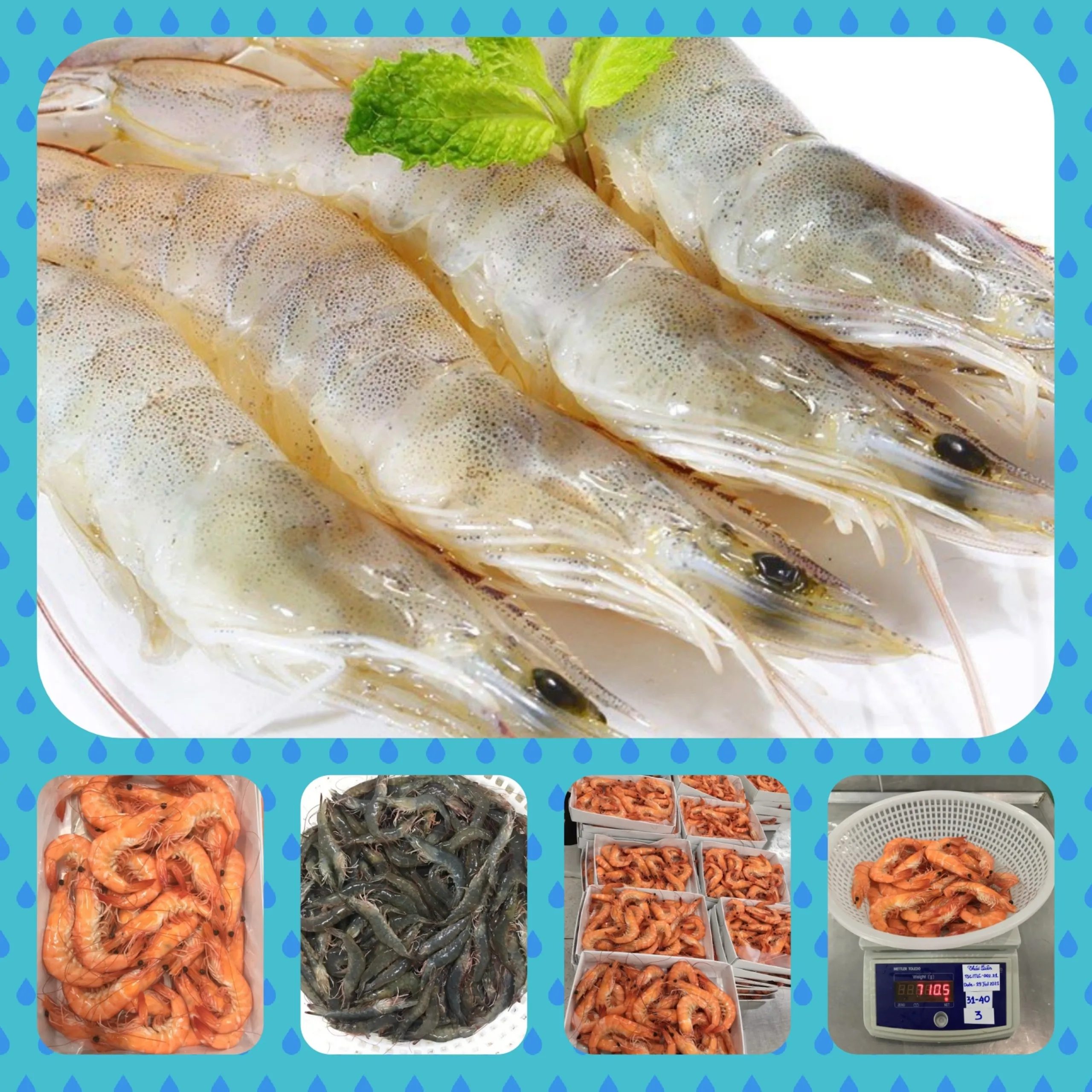 Качественные замороженные морепродукты IQF креветки Vannamei экспорт из Вьетнама по хорошей цене (компания Thailien Мисс Фиона: + 84908794118)