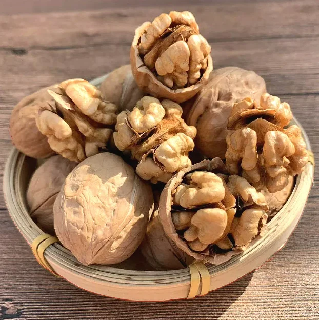 Wholesale Large Size Rich in Nutrition Walnut and Walnut kernels from Xinjiang