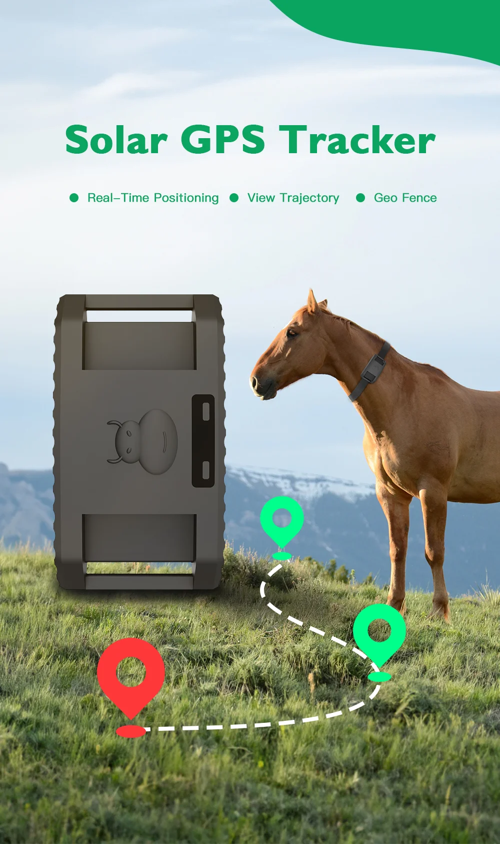 Locator Waterproof IPX6 GPS Tracker Animal Camel GPS Tracker For Cow With APP