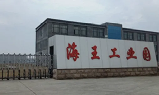 SHANDONG HAIWANG  sodium formate 205-488-0 industrial grade 98% Sodium formate 141-53-7