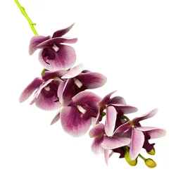 Real Touch Floral Single Stem 7 Heads 3D Printing 91cm Height Phalaenopsis Orchid Artificial Flower
