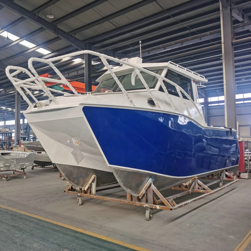 New 8.8m /29ft aluminum catamaran boat with outboard motor design