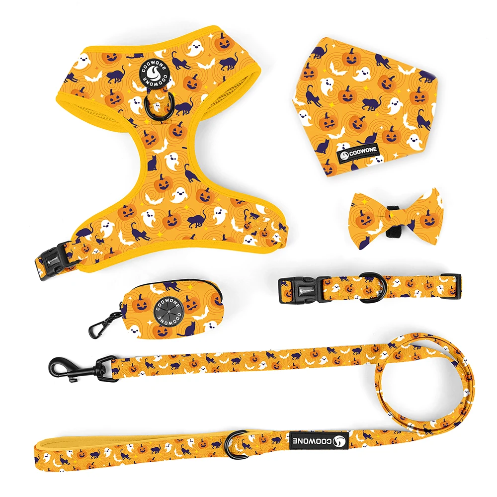 Personalized Flower Pattern Dog Harness Set Pet Collar And Leash Product Cardboard Hangers Package Box
