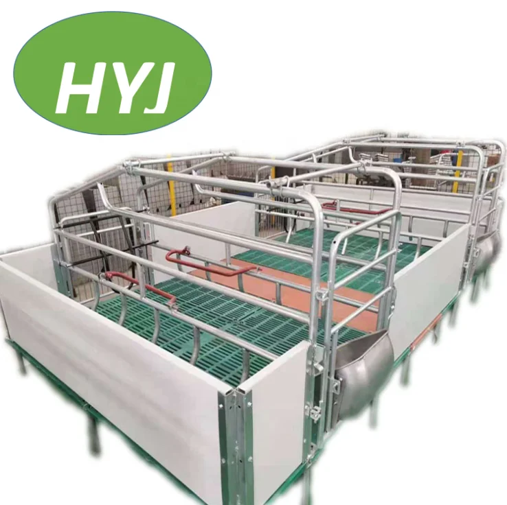 Popular Automatic Big Pig Hopper Feeder For Raising Delivery Production With Non Corrosion Resistance Crates