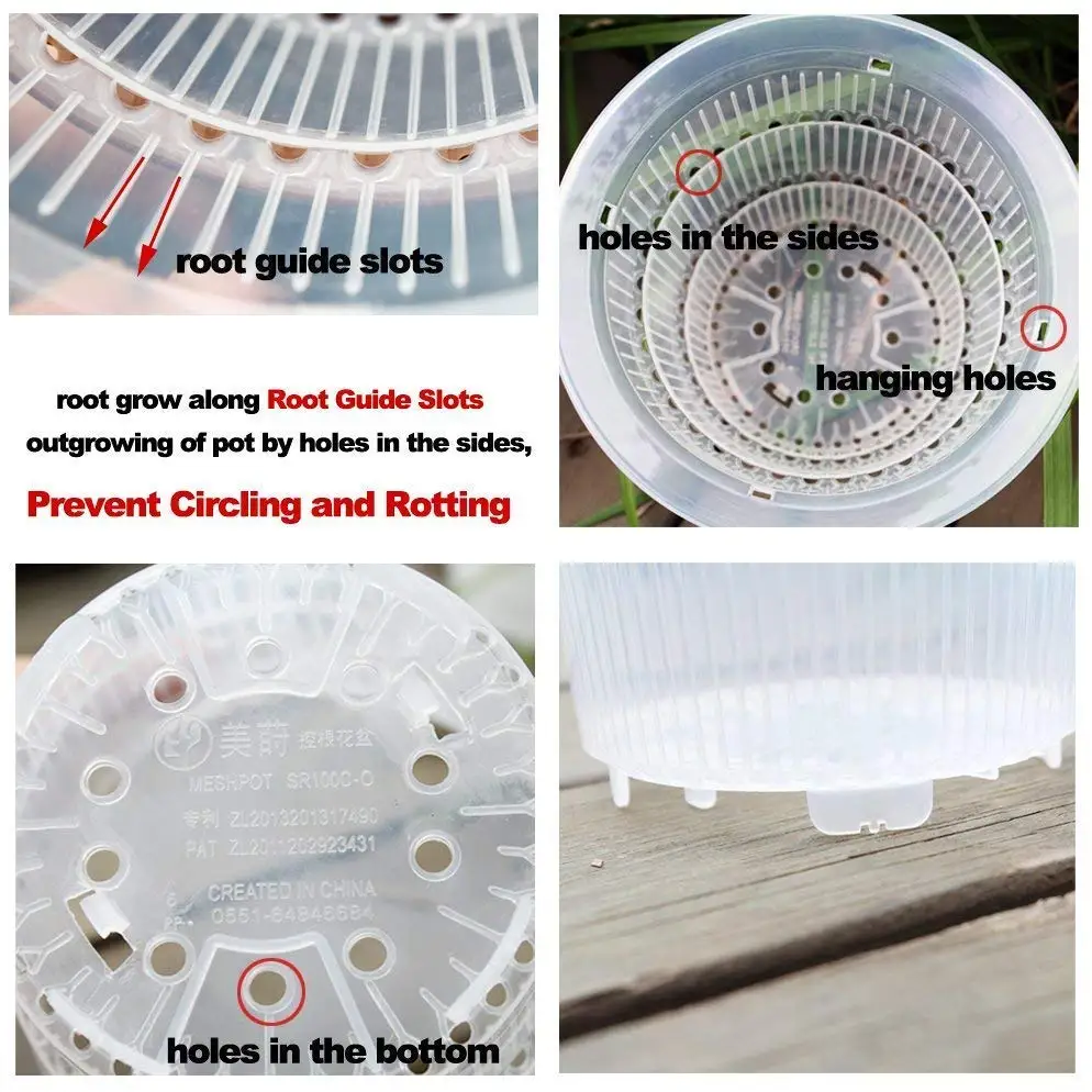 mini clear plastic orchid pot cattleya hybrida planter in 4 inch