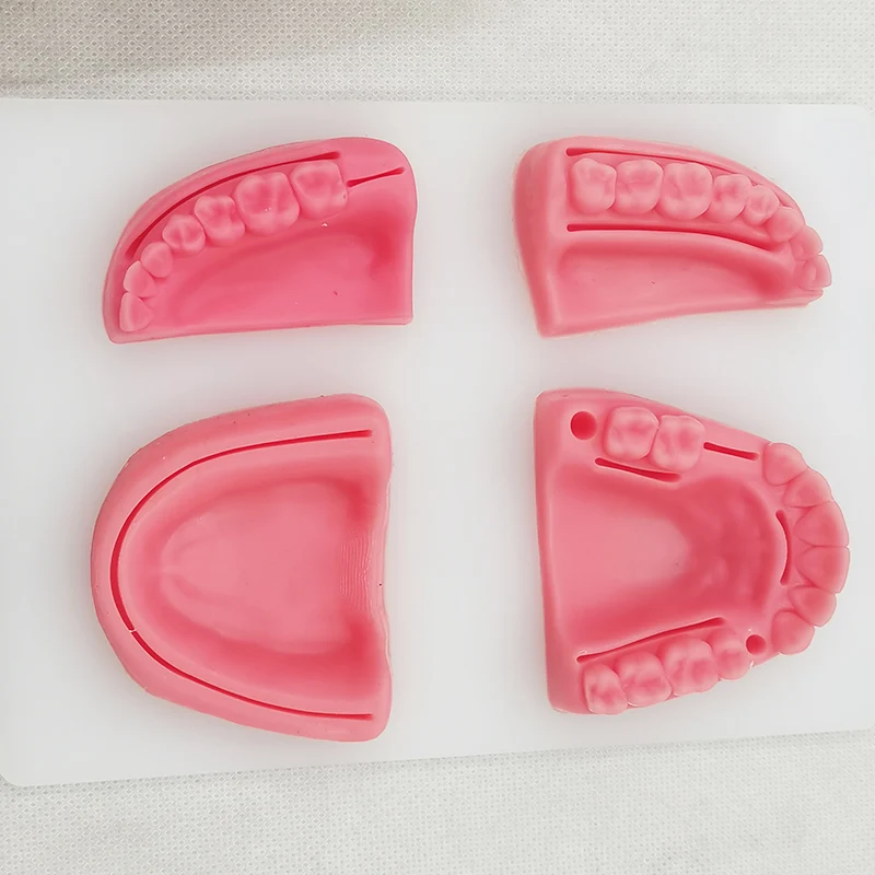 TUOJIN Simulation Oral Suture Models With Acrylic Plate Silicone Students Practice Suture Model