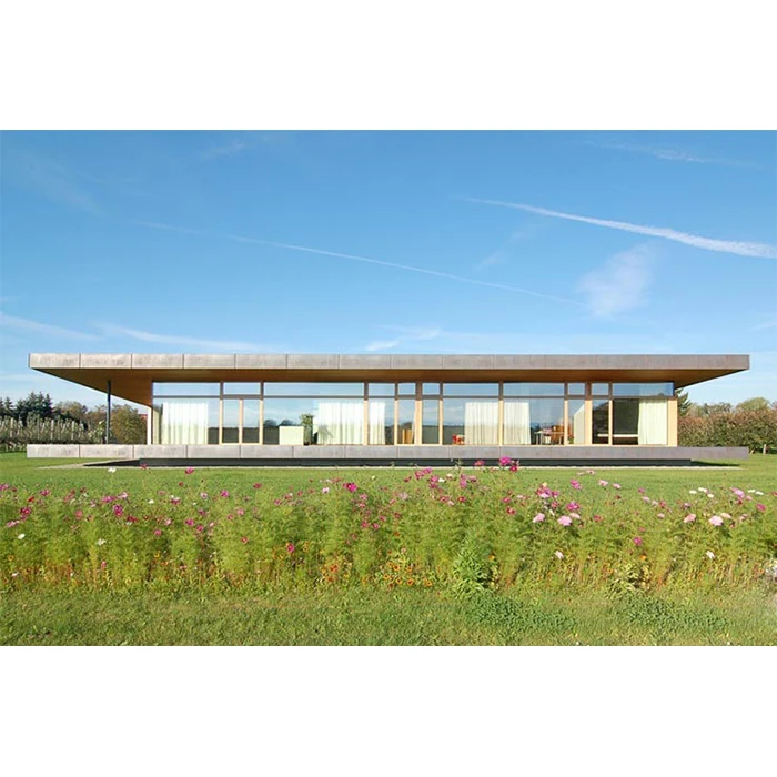 
 Роскошный контейнер, производитель из Фошань, Китай, сборный плоский пол, индивидуальный высококлассный контейнер  