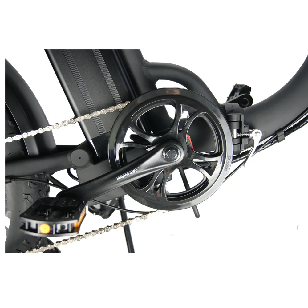 E Bicycle 750 Watt 20 Inch Fat Tire Ladies Folding Electric Bike With Lithium Battery and Pedal Assist System