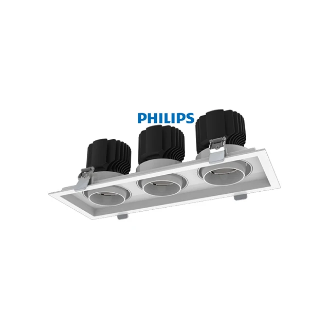 PHILIPS GD309B 3*P20 950 PSD-E NB Philips GreenUp Grid Grille Lights IP20 911401524412