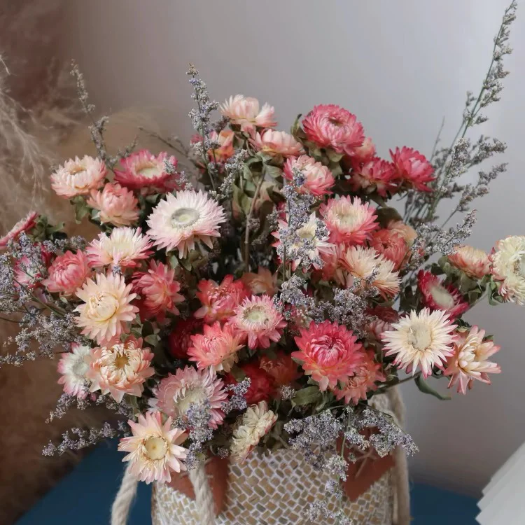 Wholesale Dried Strawflower Flower For Flower Bouquets