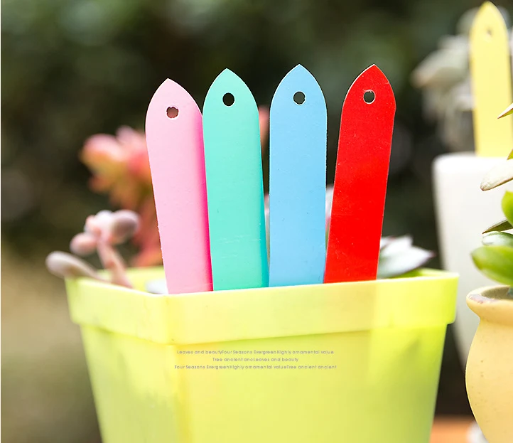 10X2cm Plants Labels Perforated PVC Plastic Hanging Labels Gardening Flower Succulent Plastic Waterproof Label