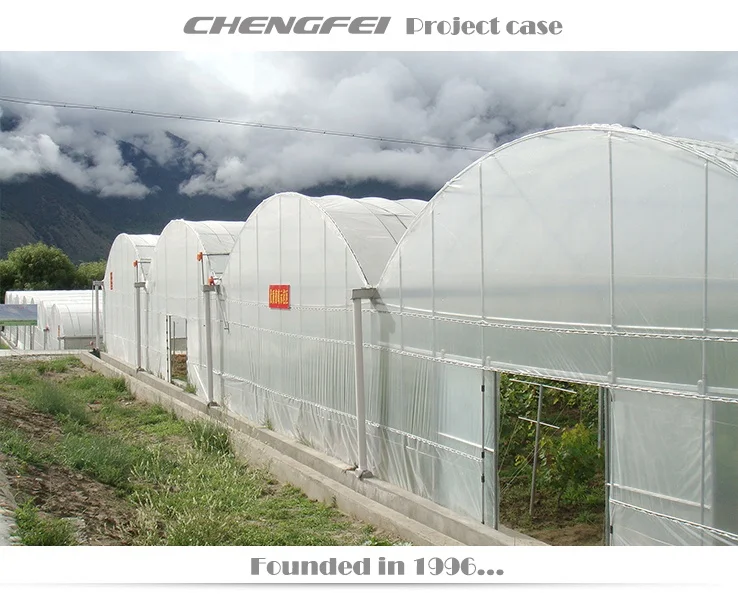 Customizable size Agricultural Low Cost Plastic Film Covered Sawtooth Greenhouse