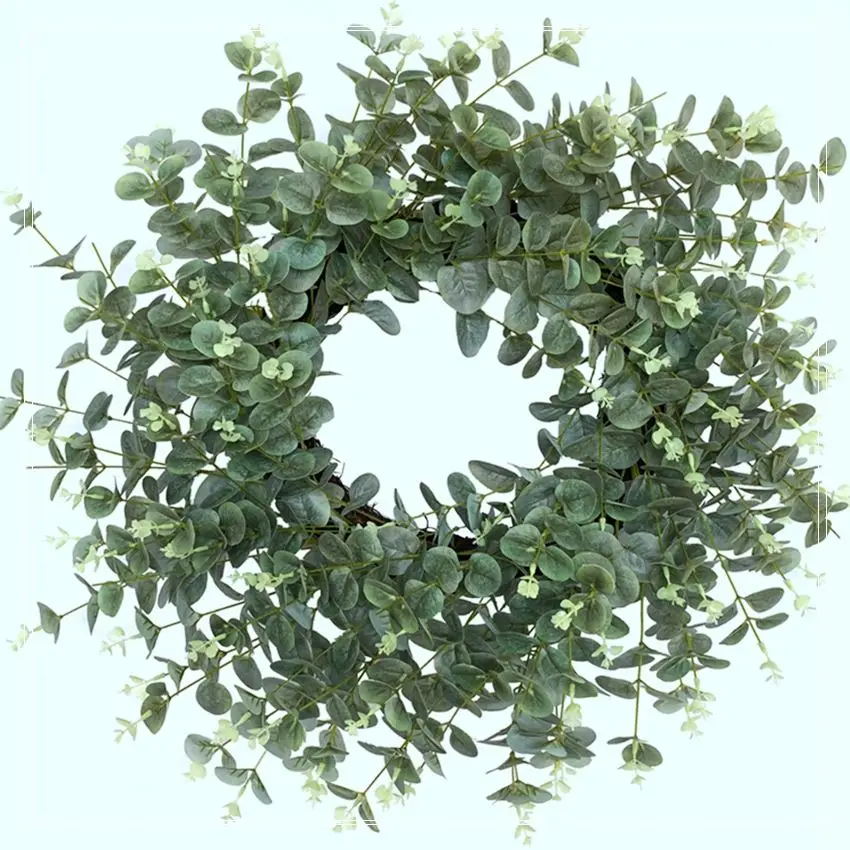 Hot Selling Eucalyptus Large Wreath Silver Dollar Sage Green Leaves Deluxe Year Round Spring Summer Decor With Great Price