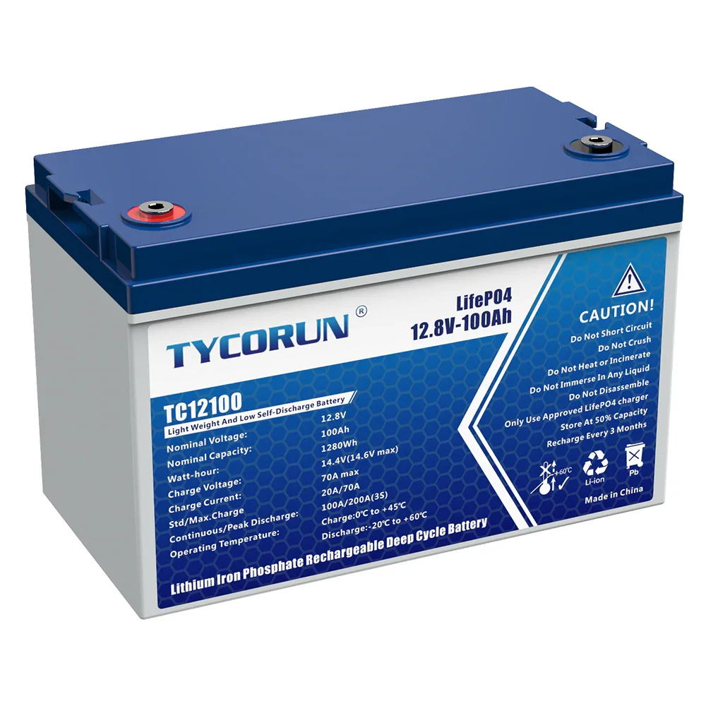 Tycorun Cheap with Built-in BMS Lithium Storage Lifepo4 12V 100Ah Li Ion Rechargeable Battery for RV Boat Marine Solar