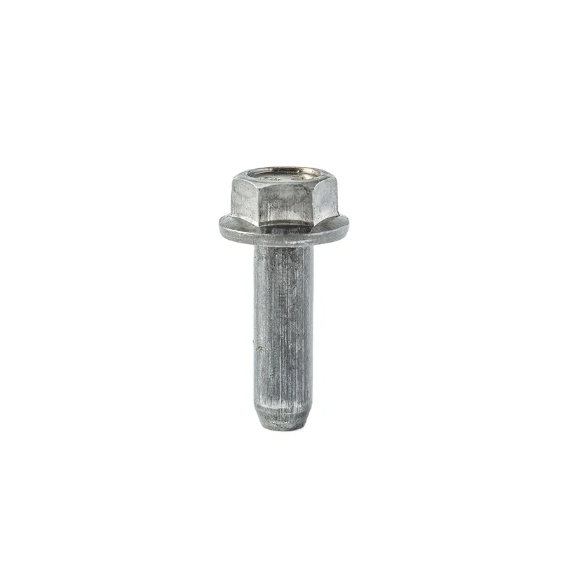 Stainless Steel SS304 T head bolt