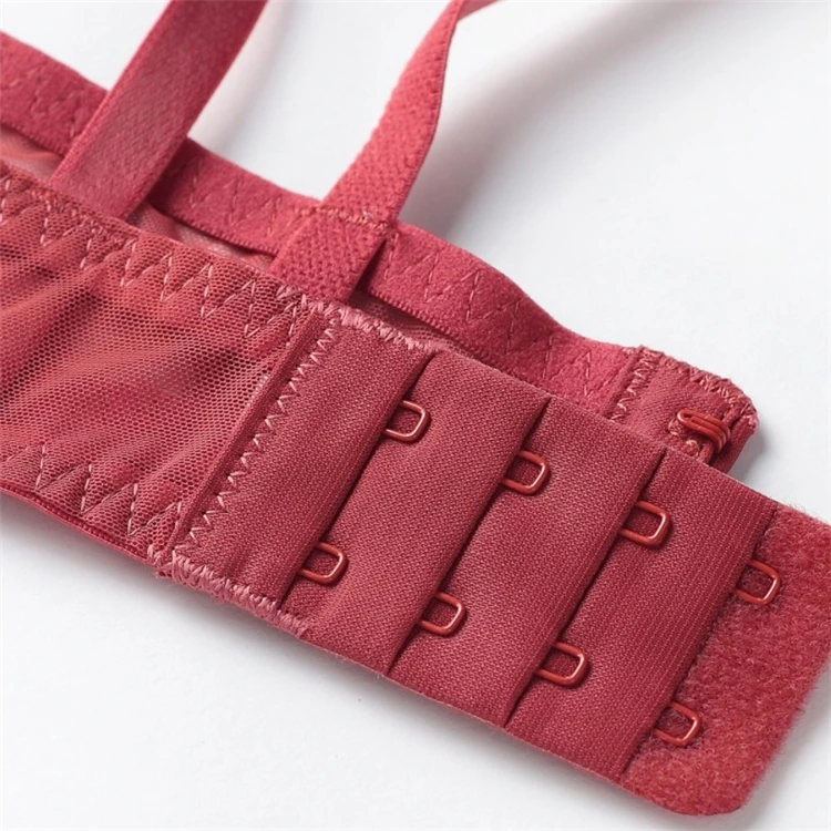 2020 оптовая продажа, прозрачный однотонный кружевной бюстгальтер + сексуальный бюстгальтер большого размера, комплекты нижнего белья для женщин