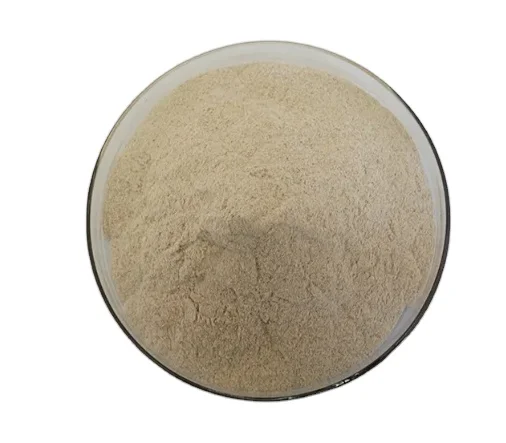 High Activity 200,000U/G Serrapeptase Powder Enzyme Neutral Protease