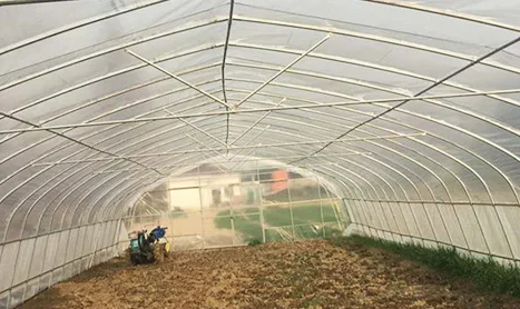 High strength Agricultural poly tunnel Green House/tomato greenhouse for sale