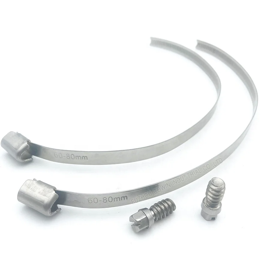 Professional supplier for Germany Type hose clamp 304 stainless steel Hose clip 60-80mm