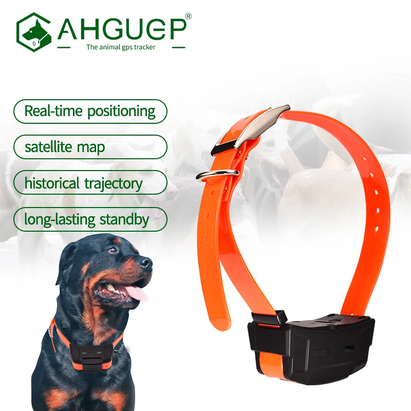 AHGUEP Brand Extra Waterproof Dog GPS Tracker Collar Training Function 4G Network AGPS GSM Beidou Hunting IP67 GPRS Positioning