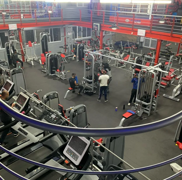 Ganas China Manufacturer Professional Commercial Complete Indoor Gym Club Hotel Fitness Machines Commercial Gym Equipment