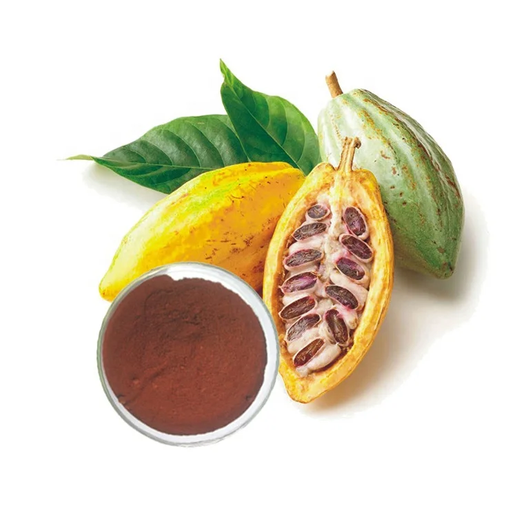 Herbal Extract Tope Selling Herbal Extraction CAS NO 83670 100% Cocoa Powder, 100% Theobroma Cocao Powder