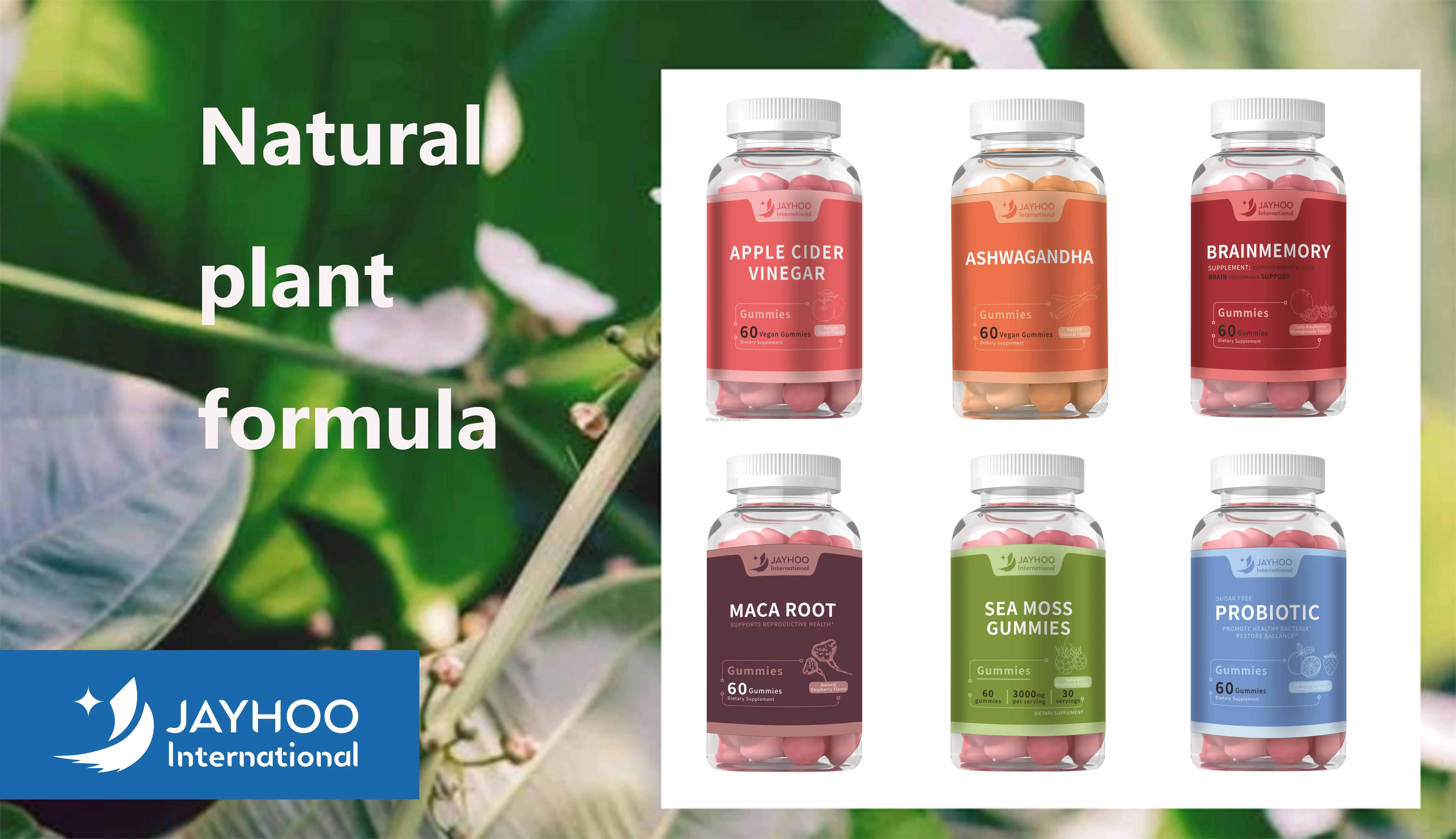 Probiotic Gummies organic sugar free Gummies promote digestion and health suitable for men women and children to use