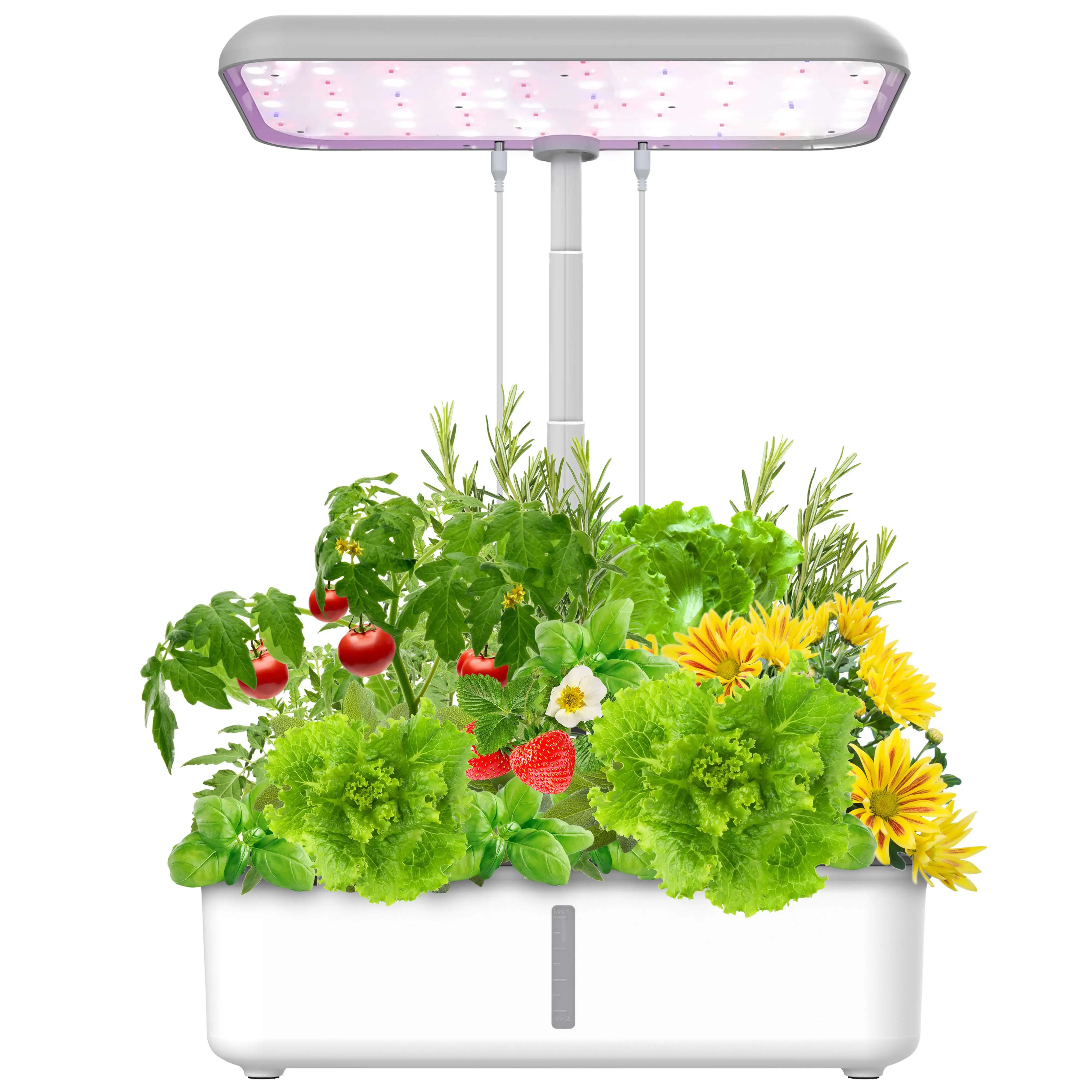 Wholesale height adjustable grow LED plant light lettuce WiFi smart indoor garden hydroponics systems