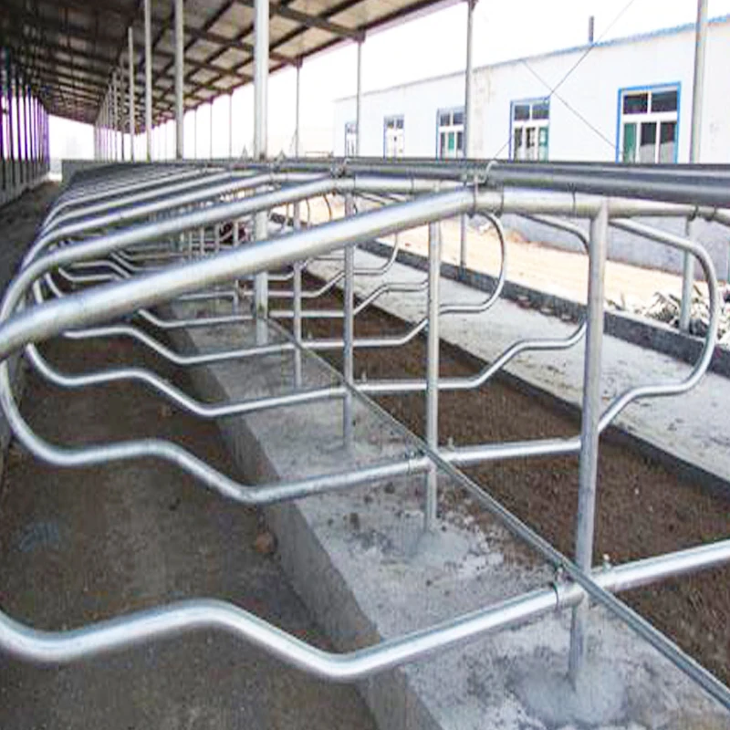 Cow Free Stall Dairy Cattle Free Stalls Portable Cow Cubicles Cattle Livestock Divided Equipment