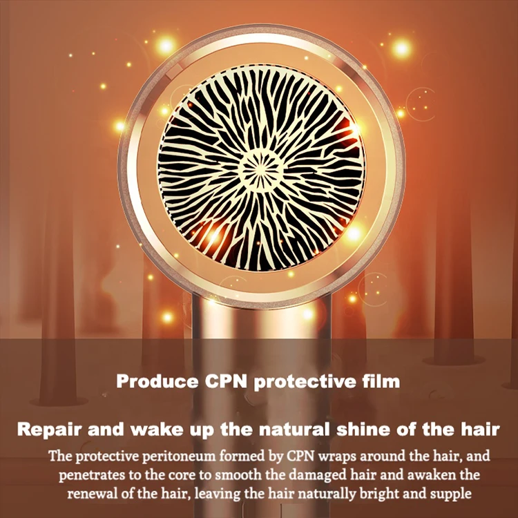 Wholesale Travel Home 1250W Professional Blow Dryer Hot &Cold Air Low Noise Powerful Strong Wind Salon Hair Dryers