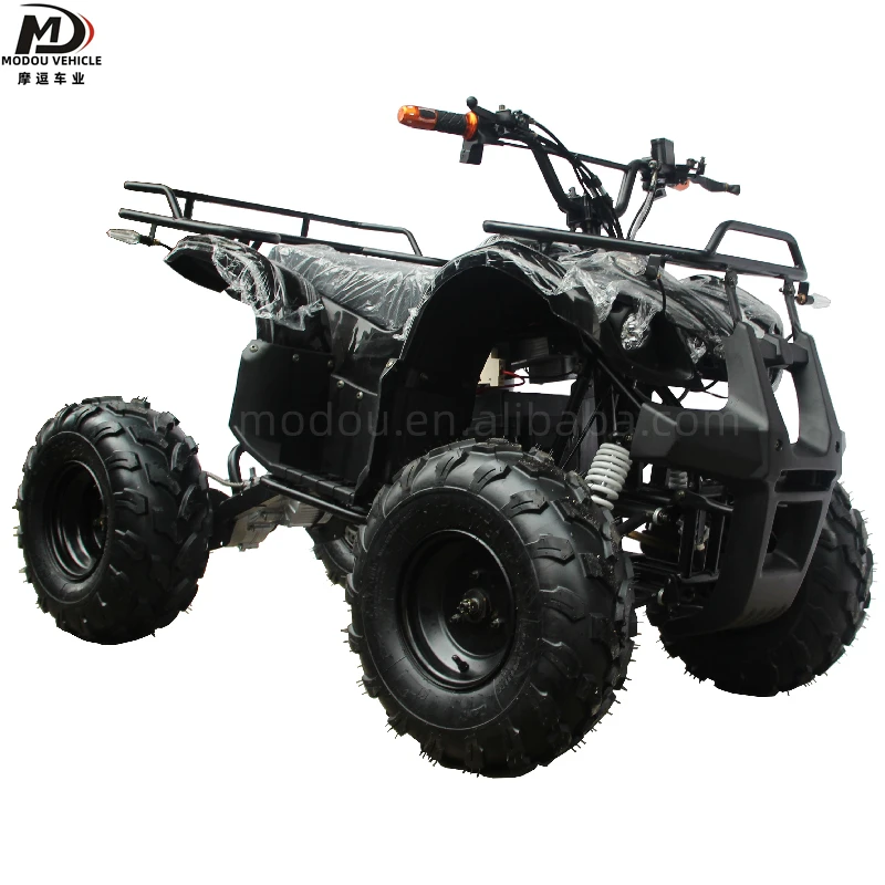 Adult children electric ATV 500W small atv entertainment