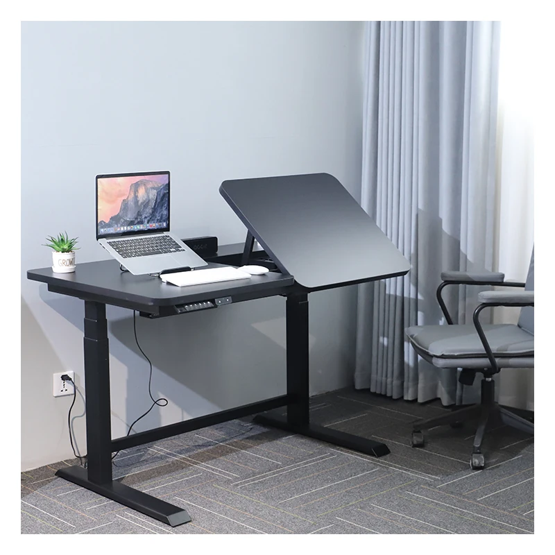 Modern Ergonomic Stand Up Desk With Tilting Function Electric Height Adjustable Standing Desk Frame Dual Motor For Drawing Study