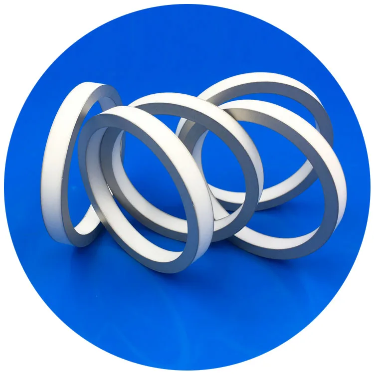 High Voltage Alumina Refractory Electronics Industry Plating Ni Metallized Ceramic Ring