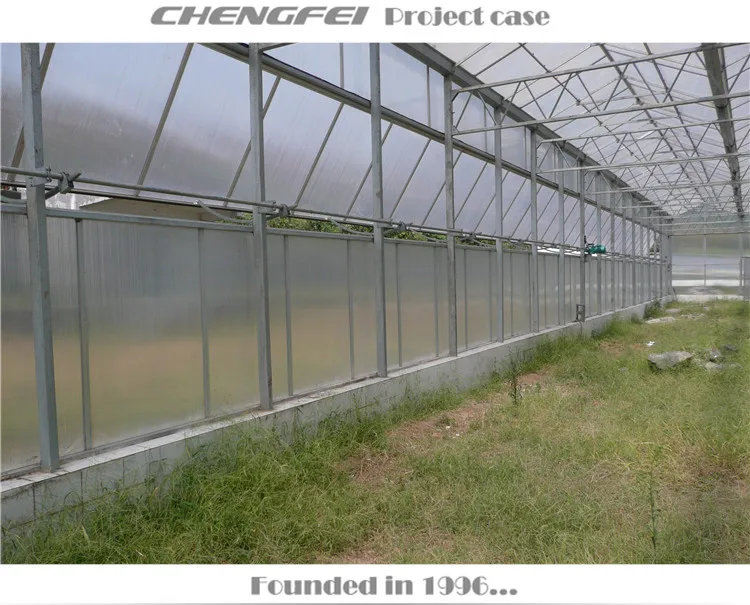 Agricultural large venlo multi-span polycarbonate sheet vegetable greenhouses supplier