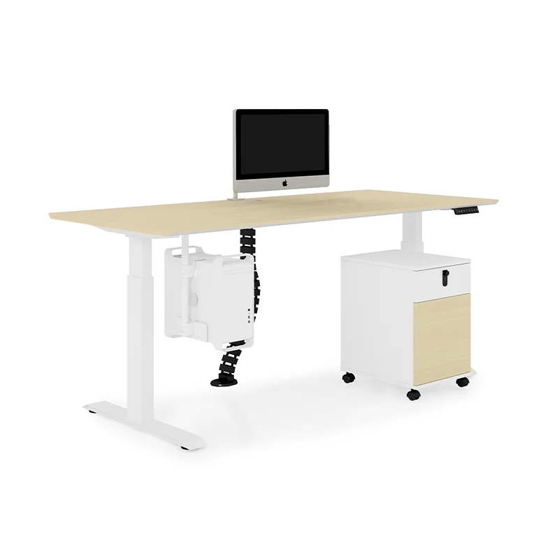 Home Office Desk Frame Ergonomic Electric Stand Up Motorized Adjustable Height Standing Desk