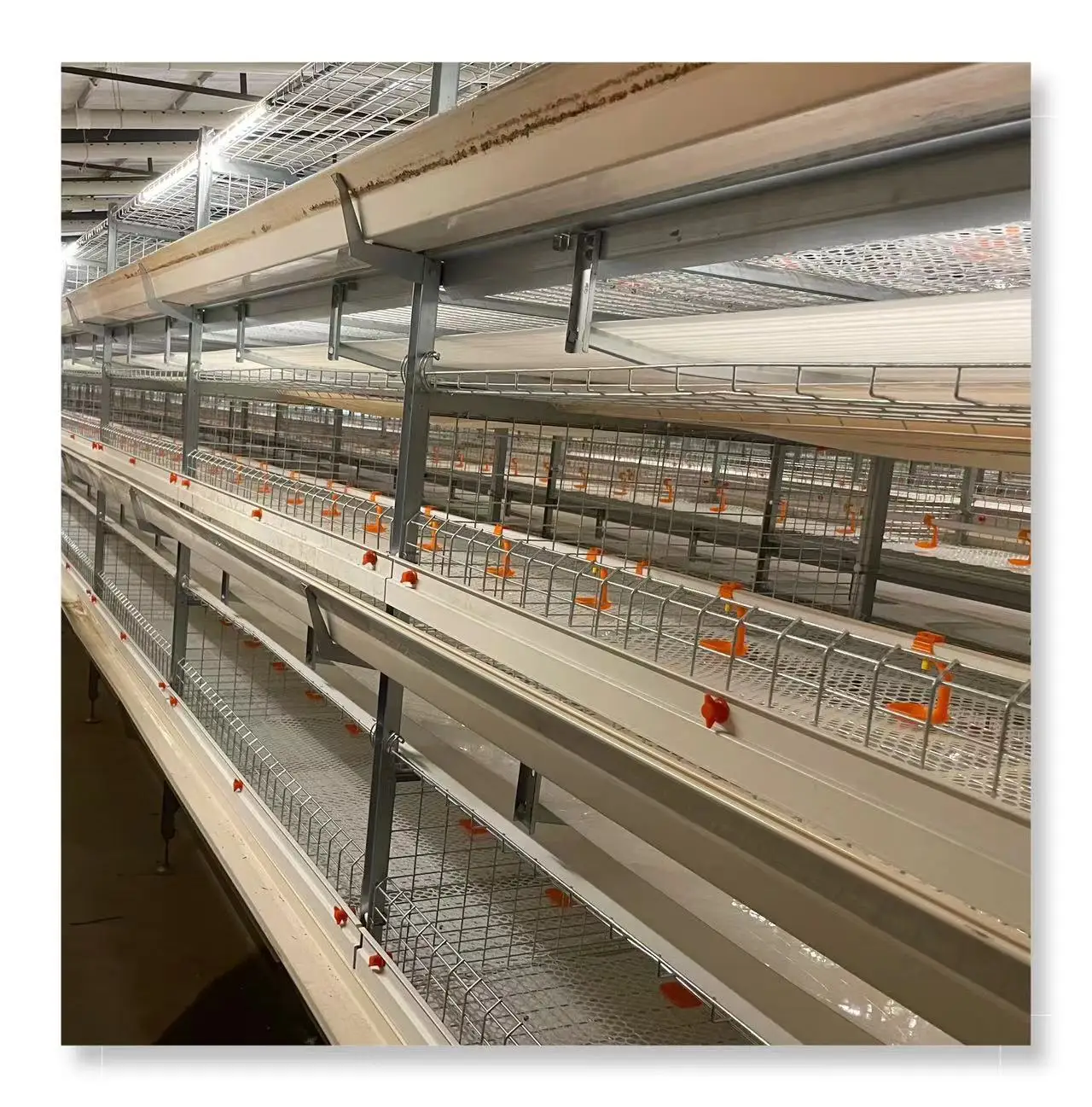 Лучшее качество автоматическое оборудование для бройлеров куриного животноводства тип H клетка Нигерии